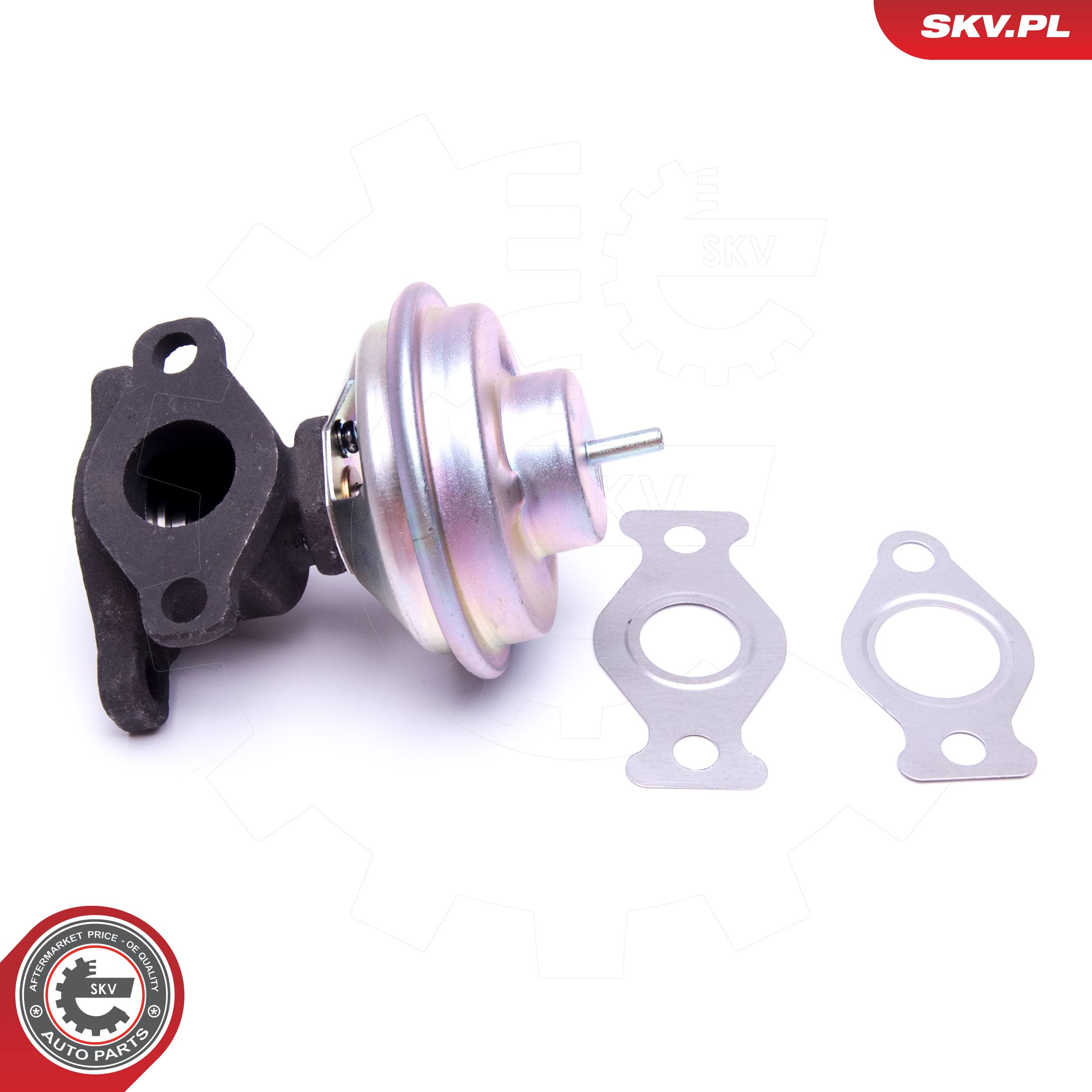 ESEN SKV AGR-Ventil 14skv204 für KIA