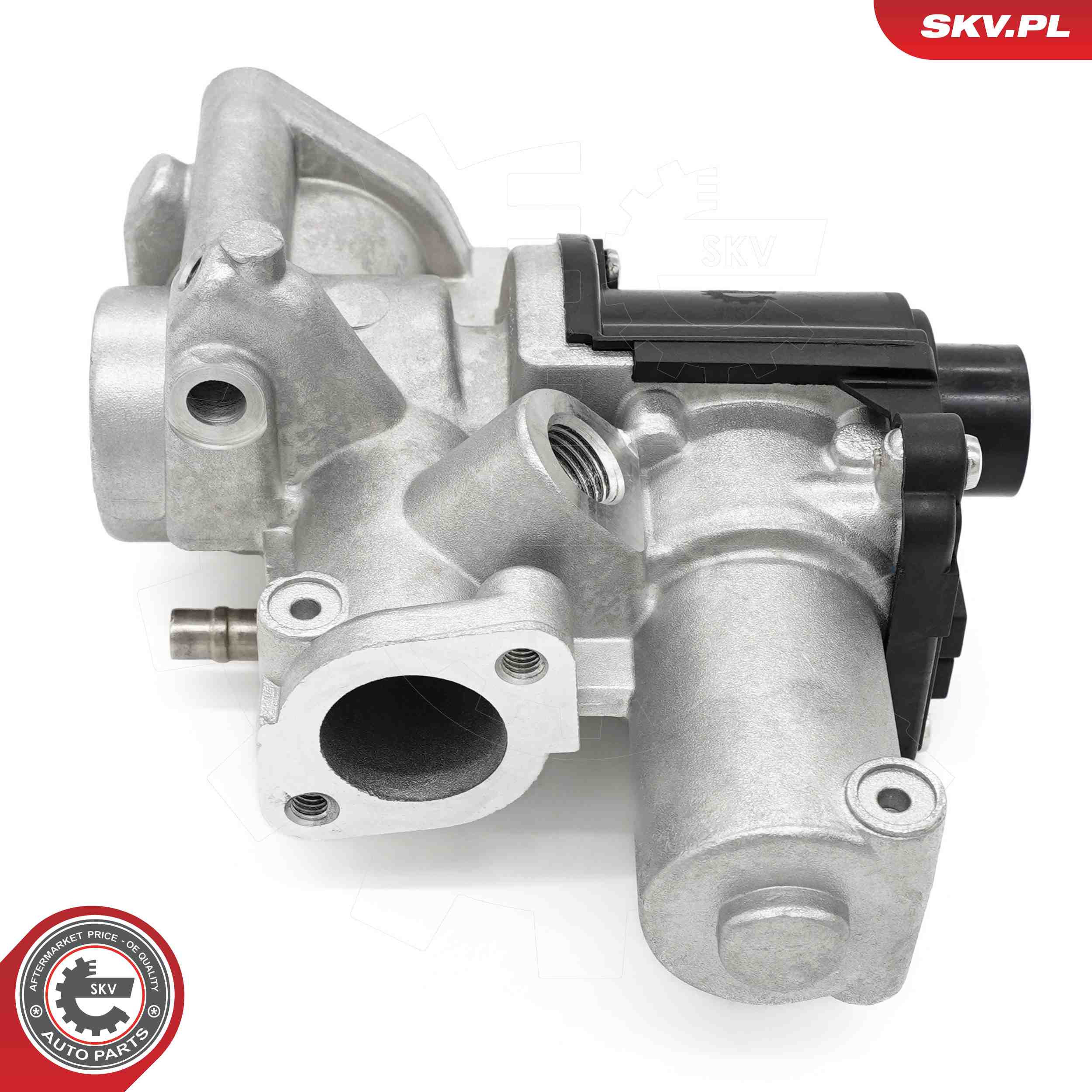 ESEN SKV AGR-Ventil 14skv253 für VAG