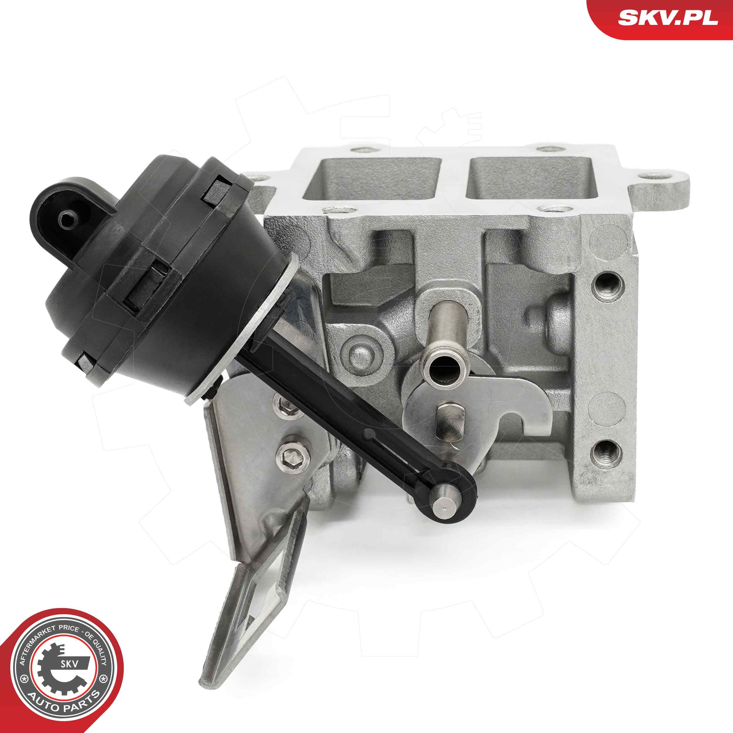ESEN SKV AGR-Ventil 14skv290 für VAG