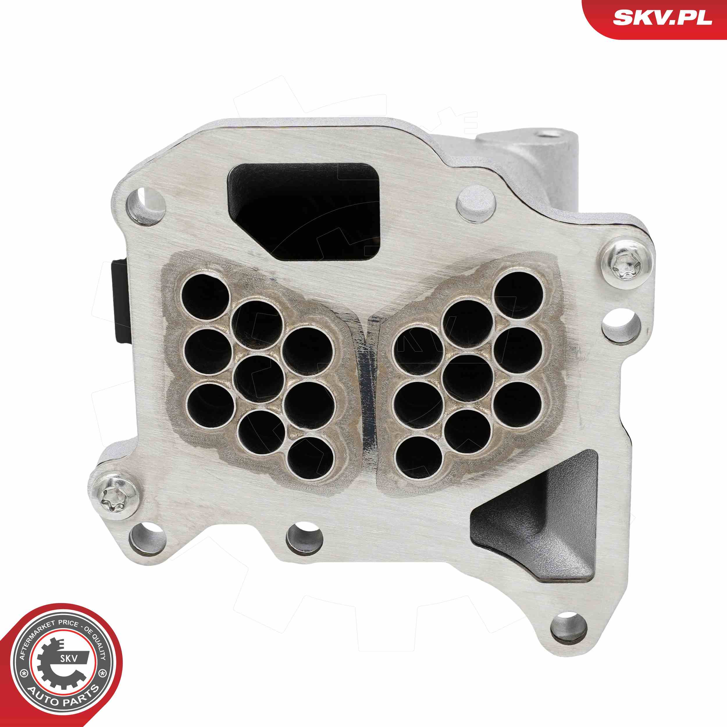 ESEN SKV Kühler, Abgasrückführung 14skv329 für Peugeot Ford Volvo Fiat