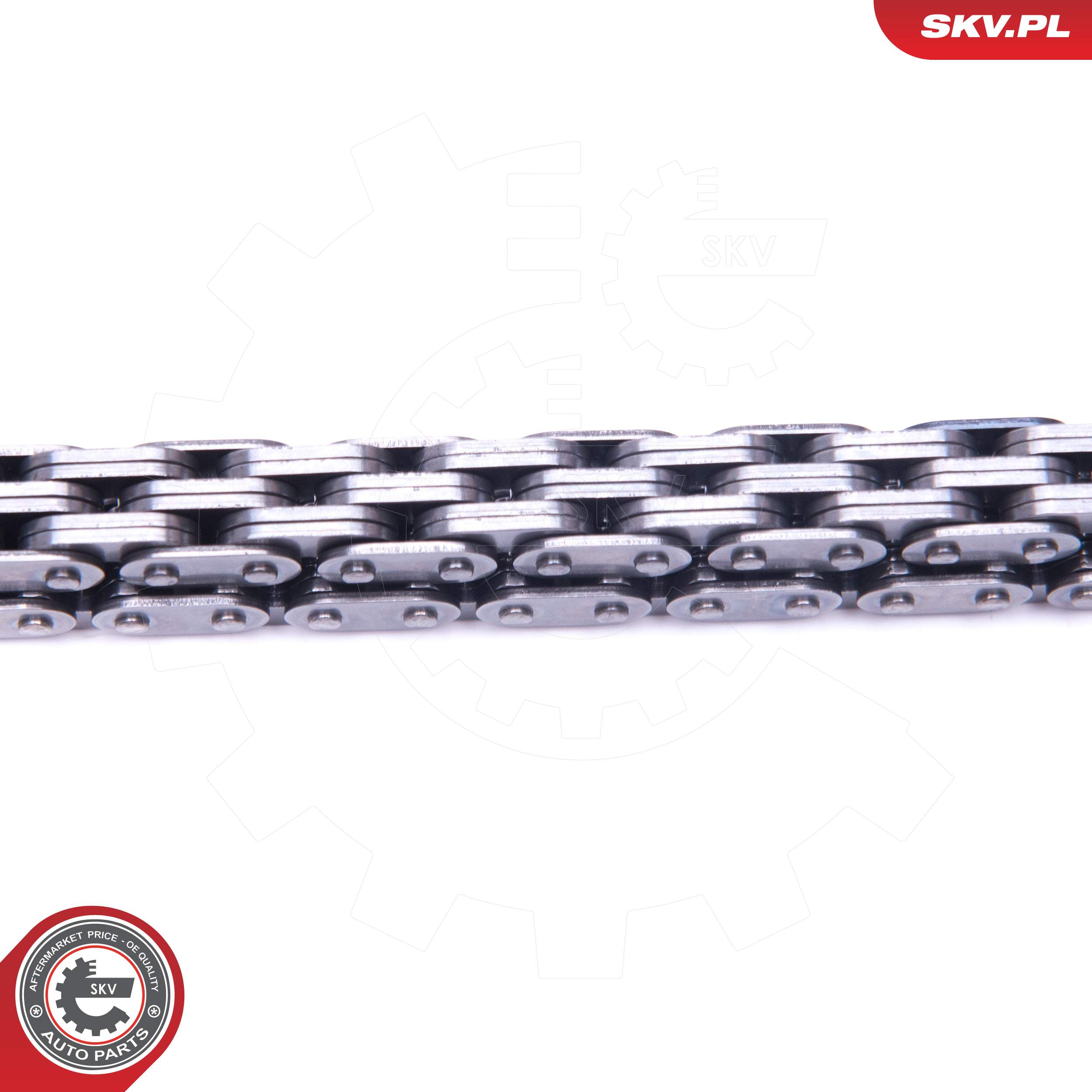 ESEN SKV Steuerkettensatz 21skv236 für Ford VAG Chrysler MITSUBISHI Porsche