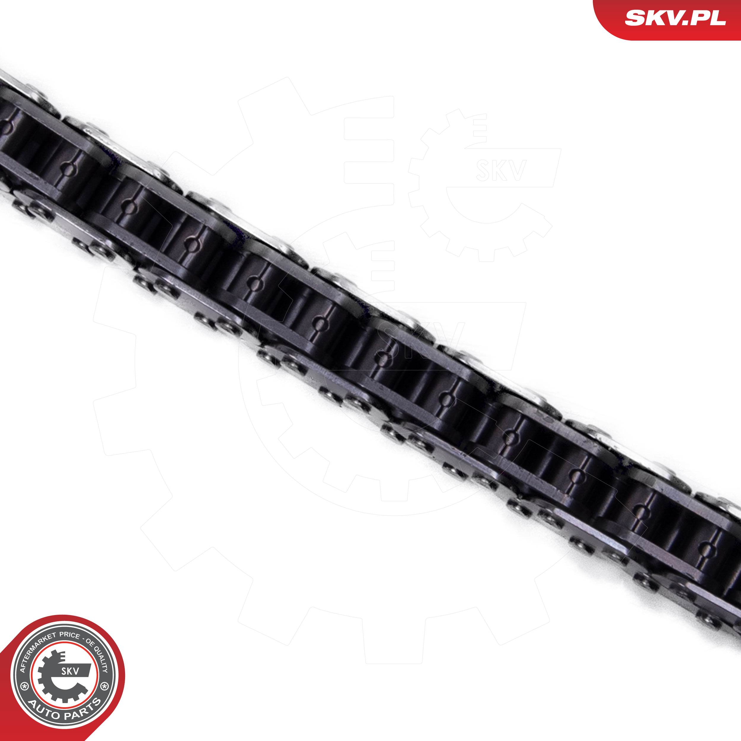 ESEN SKV Steuerkettensatz 21skv249 oben für BMW