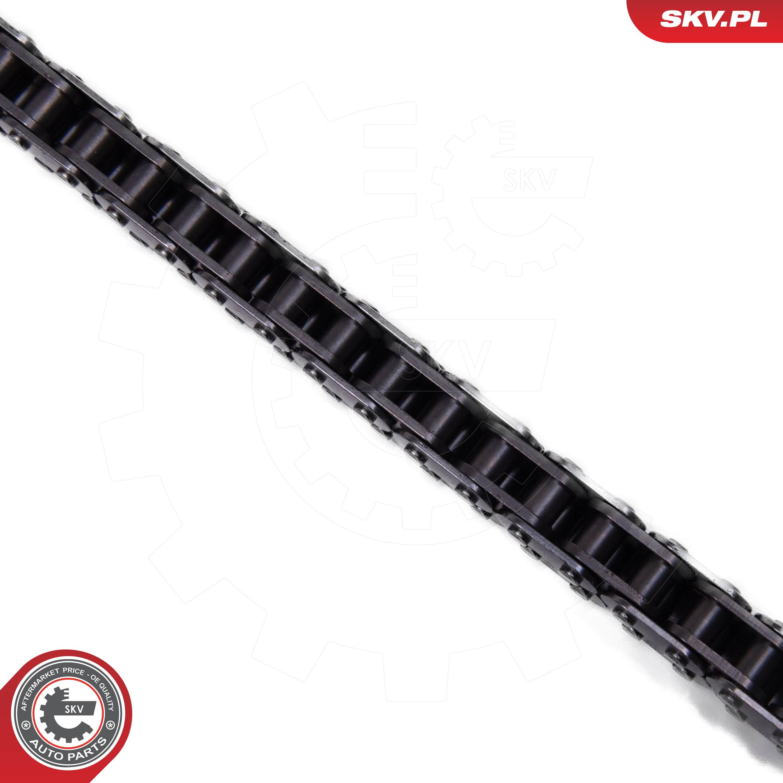 ESEN SKV Steuerkettensatz 21skv252 für Peugeot Ford Citroën Fiat LAND ROVER