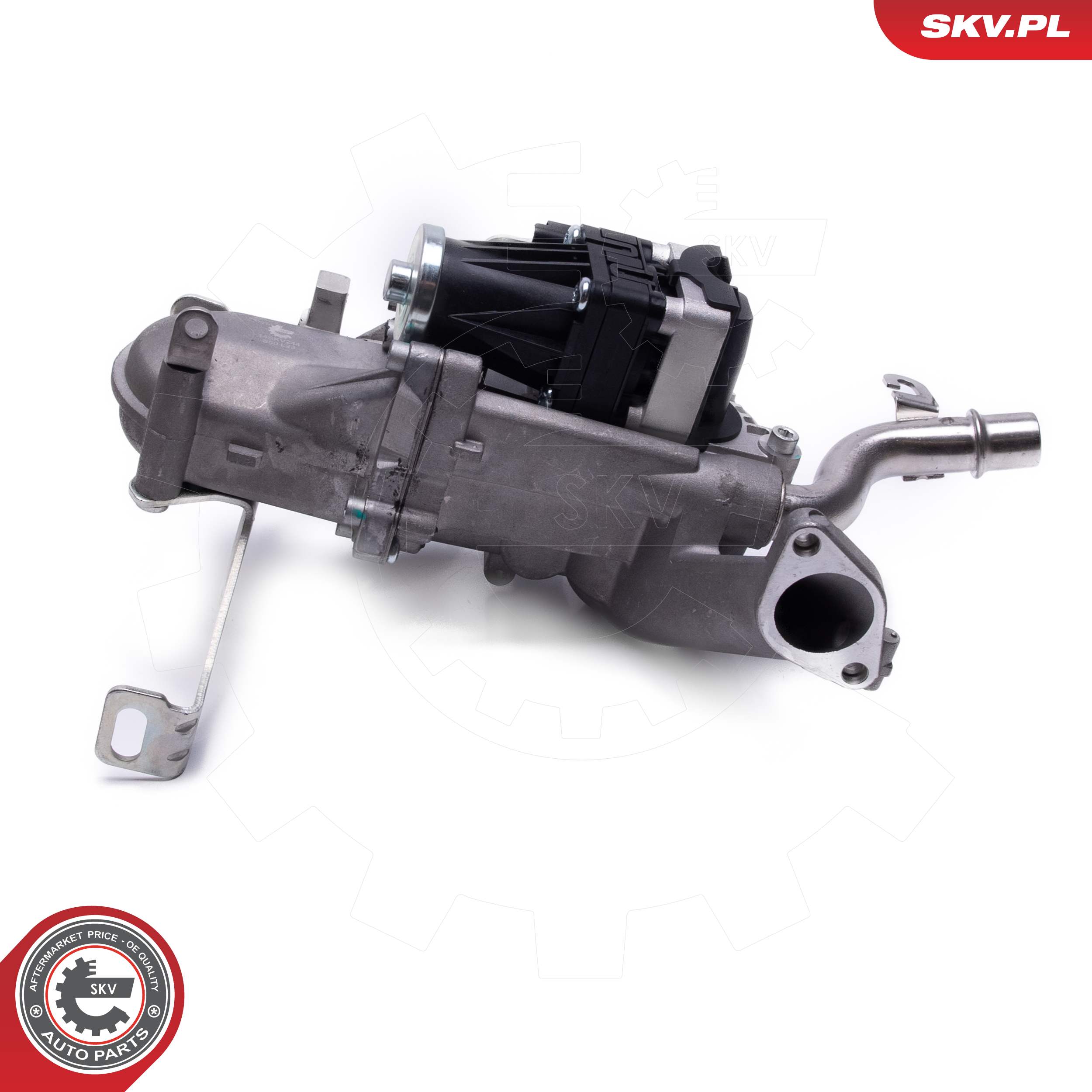 ESEN SKV Kühler, Abgasrückführung 14skv244 für Audi Peugeot