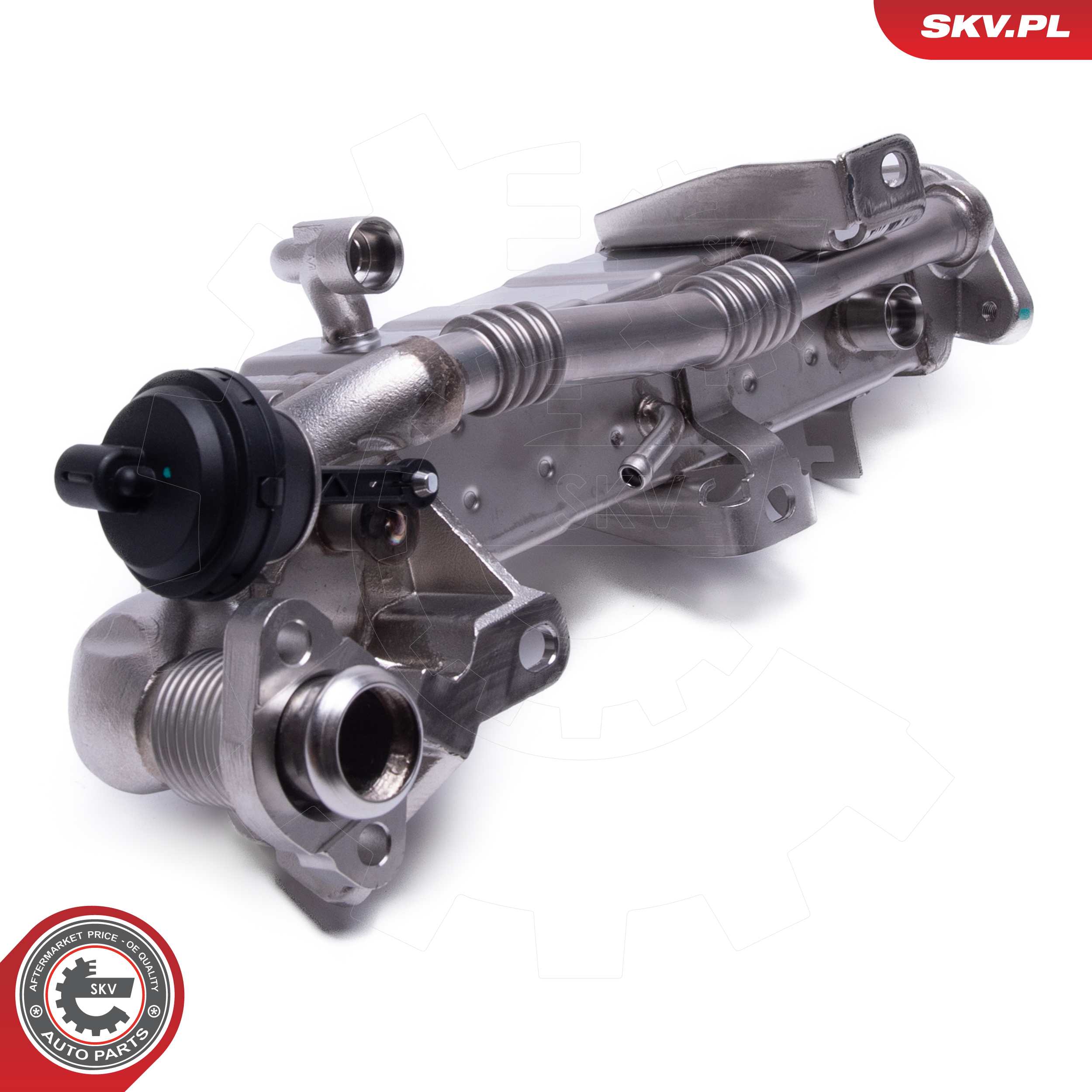ESEN SKV AGR-Ventil 14skv239 für BMW