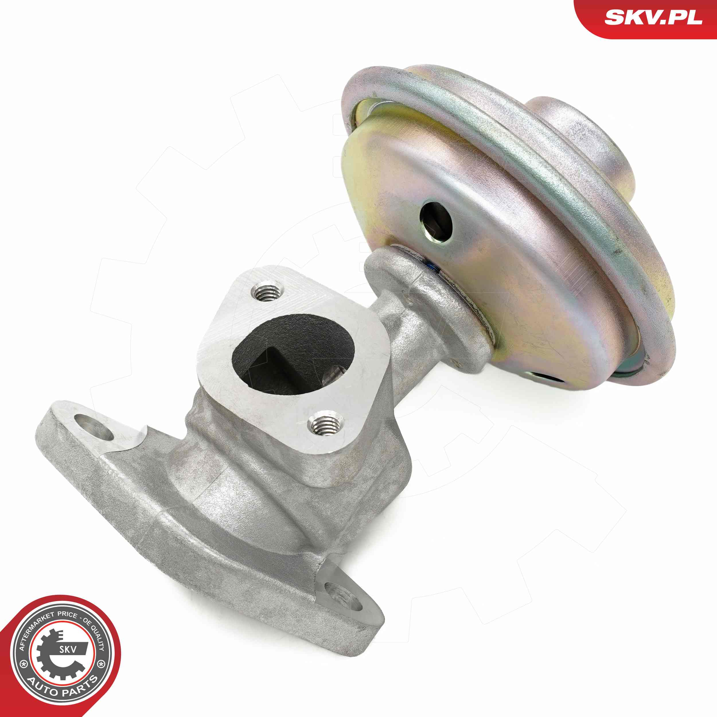ESEN SKV AGR-Ventil 14skv258 für VW