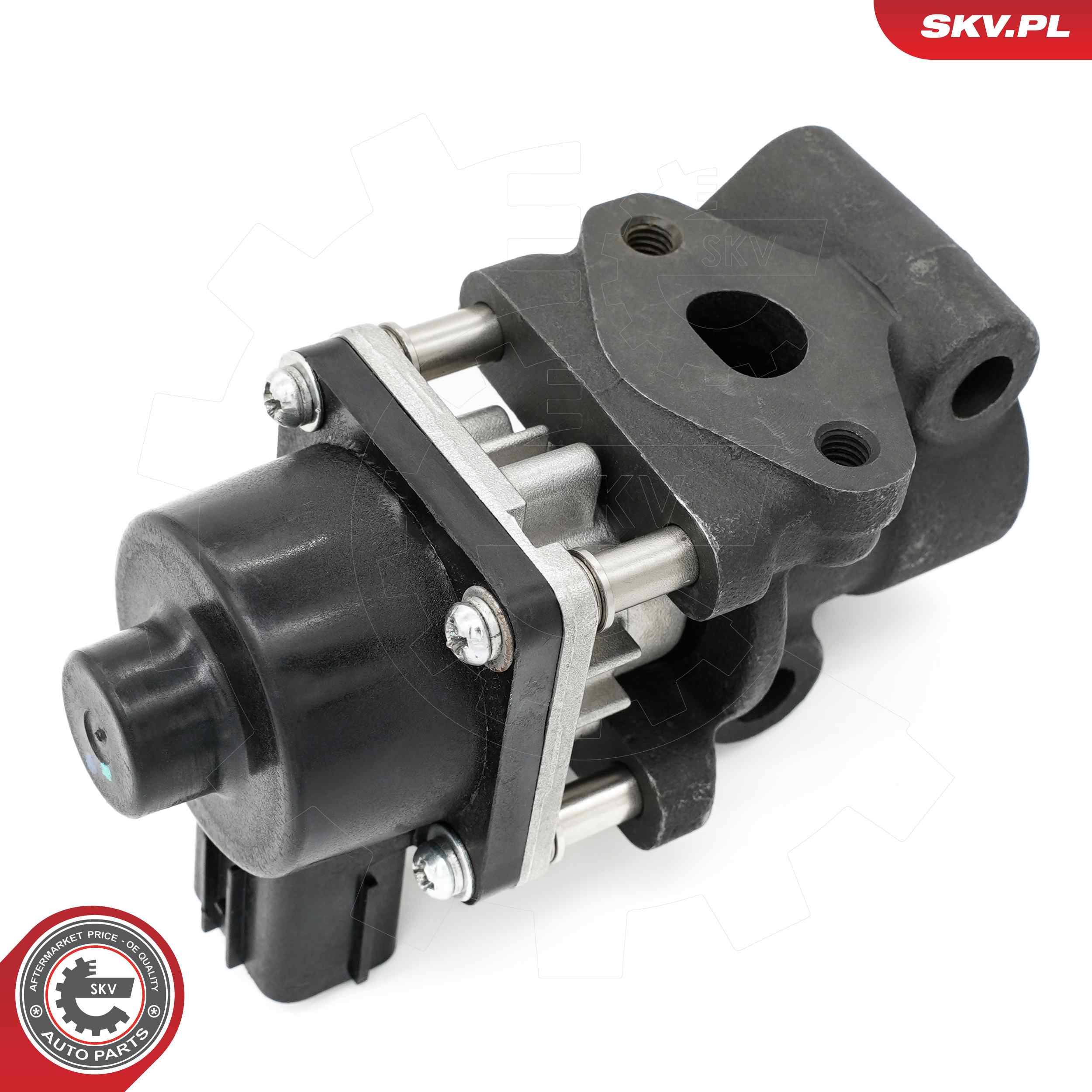 ESEN SKV AGR-Ventil 14skv260 für Fiat Suzuki