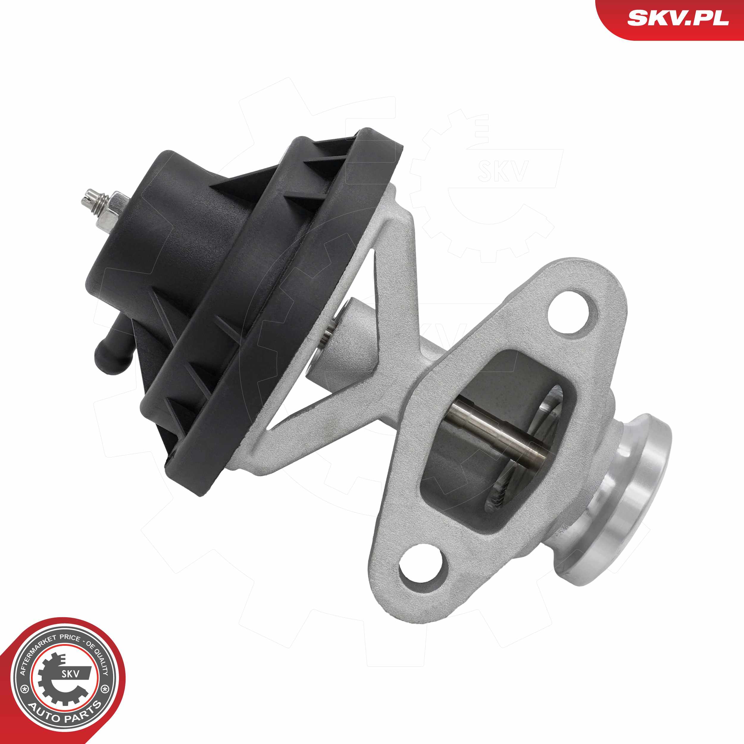 ESEN SKV AGR-Ventil 14skv321 für VW