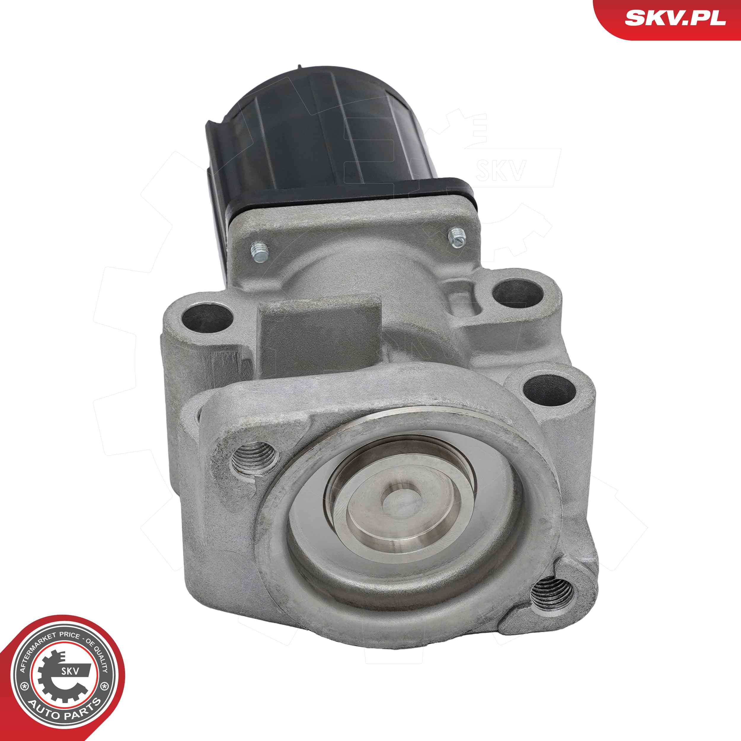 ESEN SKV AGR-Ventil 14skv300 für MITSUBISHI