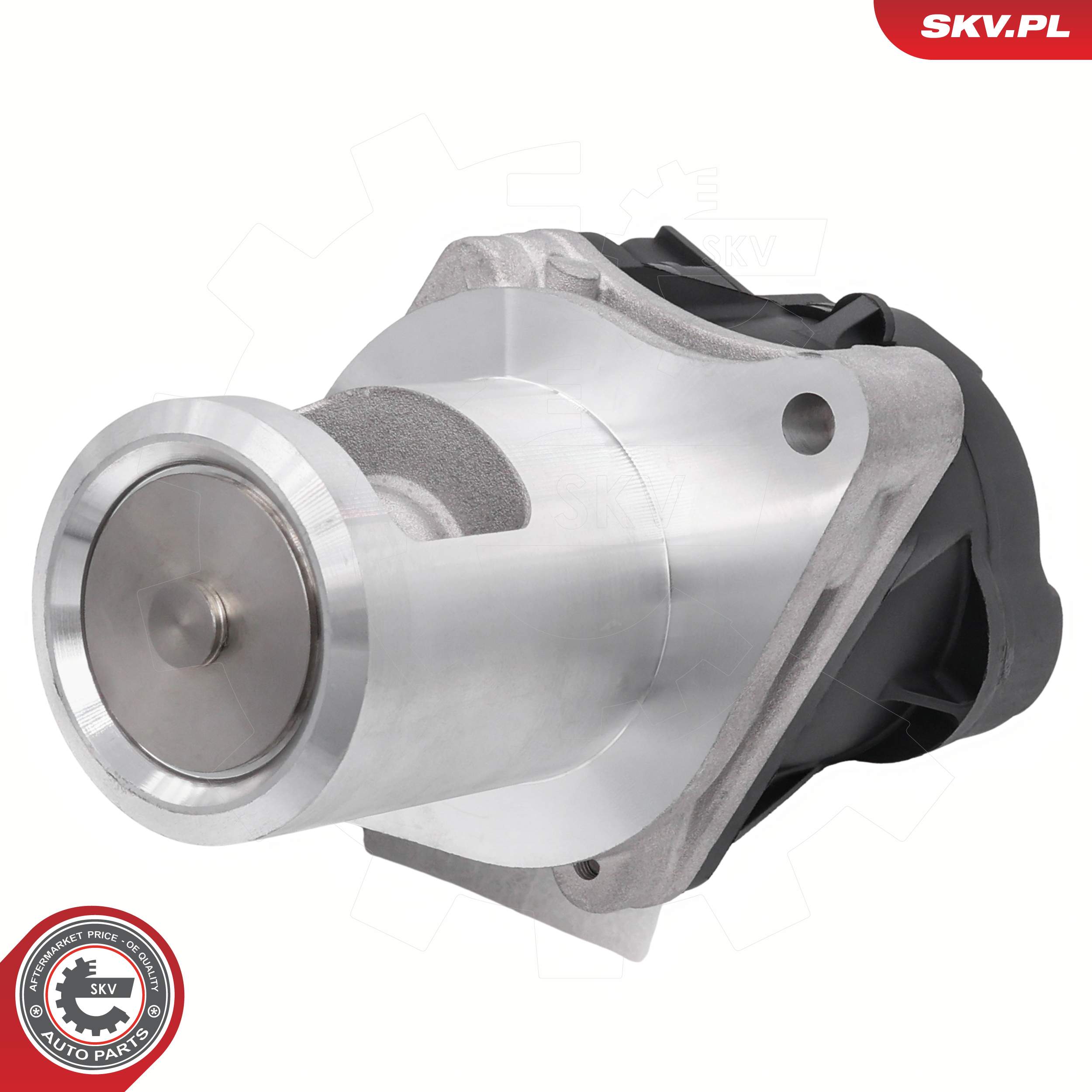 ESEN SKV AGR-Ventil 14skv297 für Opel CHEVROLET Vaughall