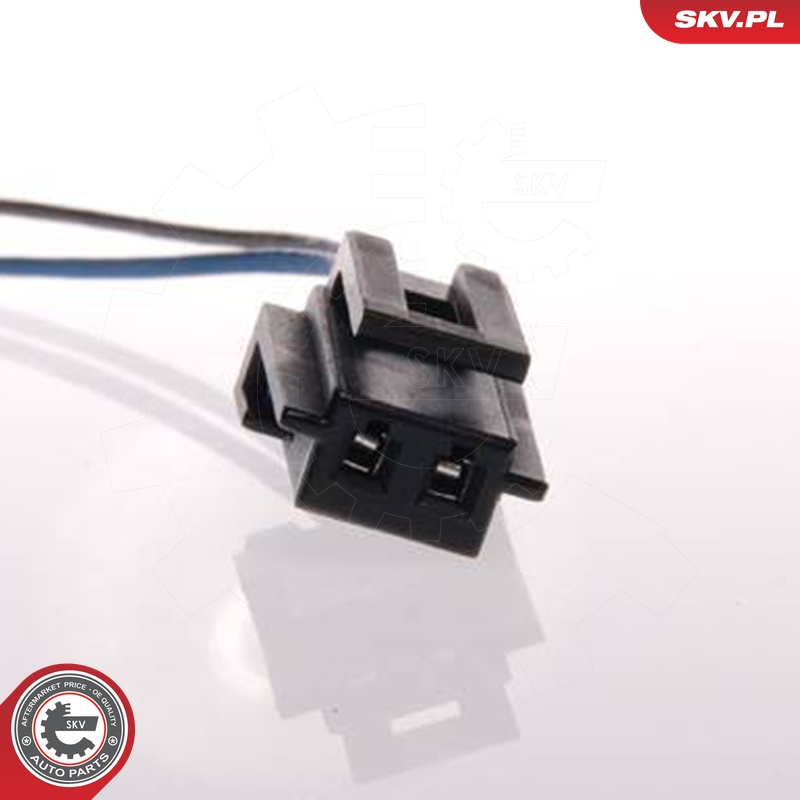 ESEN SKV Kraftstoffpumpe 02skv213 im Kraftstoffbehälter für LANCIA GM Volvo CHEVROLET