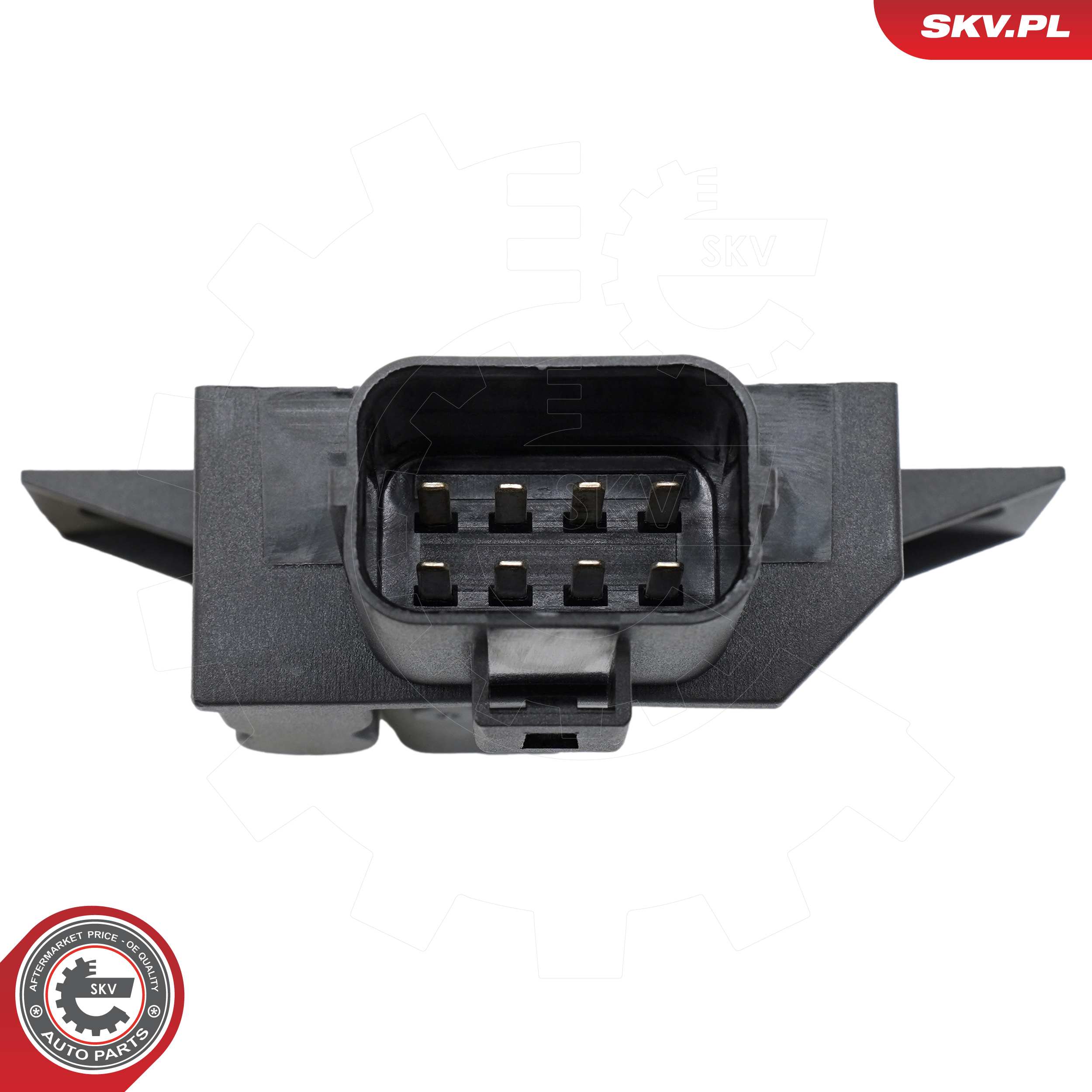 ESEN SKV Steuergerät, Kraftstoffpumpe 96skv899 für LAND ROVER