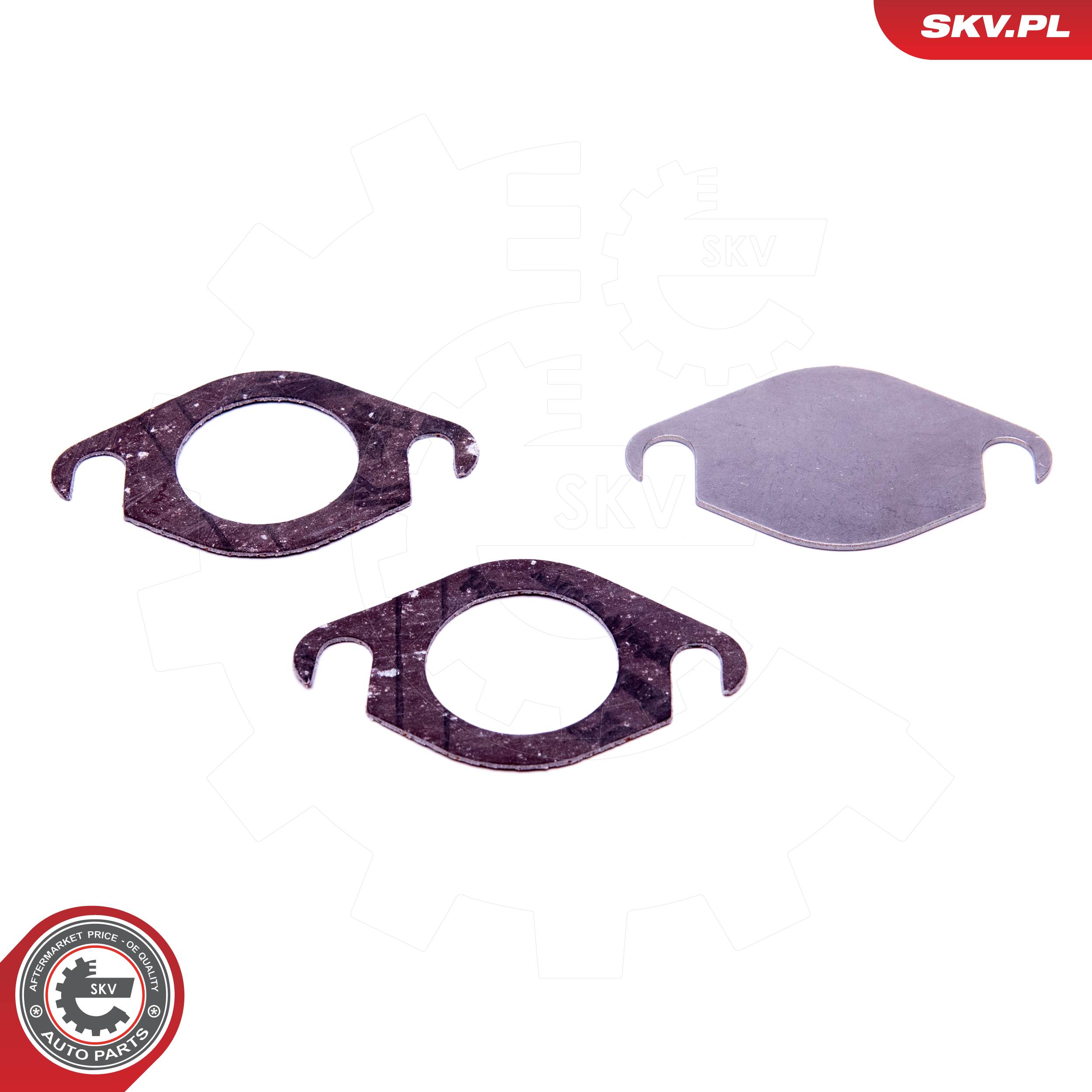 ESEN SKV Reparatursatz, AGR-Ventil 14skv518