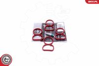 Esen SKV Reparatursatz, Saugrohrmodul, Art.-Nr. 49SKV513