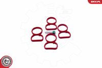 Esen SKV Reparatursatz, Saugrohrmodul, Art.-Nr. 49SKV513