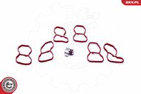 Esen SKV Reparatursatz, Saugrohrmodul, Art.-Nr. 49SKV516