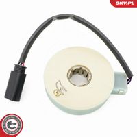 Esen SKV Lenkwinkelsensor, Art.-Nr. 17SKV993