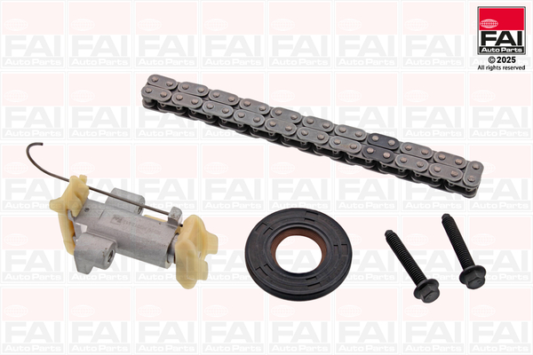 FAI AUTOPARTS Steuerkettensatz tck487 für Ford Peugeot