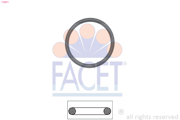 FACET Dichtung, Thermostatgehäuse 79671 für Opel GM