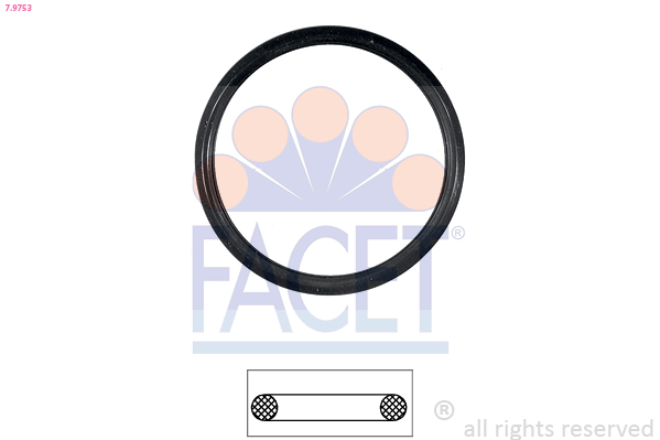 FACET Dichtung, Thermostat 79753 für VW
