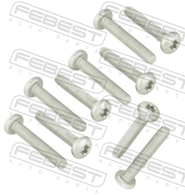 FEBEST Befestigungsbolzen, Querlenker 2398002pcs10 für VAG