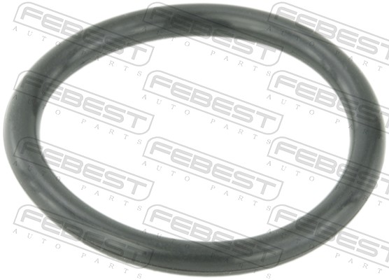 FEBEST Dichtung, Kühlmittelflansch ringwhb5 für VAG