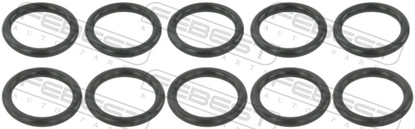 FEBEST Dichtring, Einspritzventil ringfl023pcs10 für BMW NISSAN