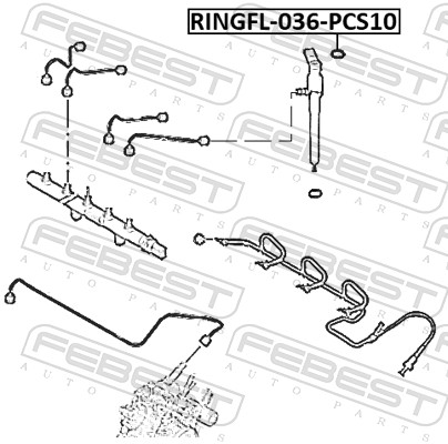 FEBEST Dichtring, Einspritzventil ringfl036pcs10 für Ford