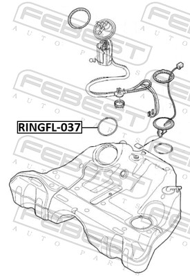 FEBEST Dichtung, Tankgeber für VOLVO 9183708 9141498 RINGFL-037