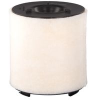 FEBI Luftfilter, Art.-Nr. 38881