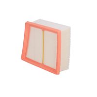 FEBI Luftfilter, Art.-Nr. 39218