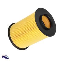 FEBI Luftfilter, Art.-Nr. 38923