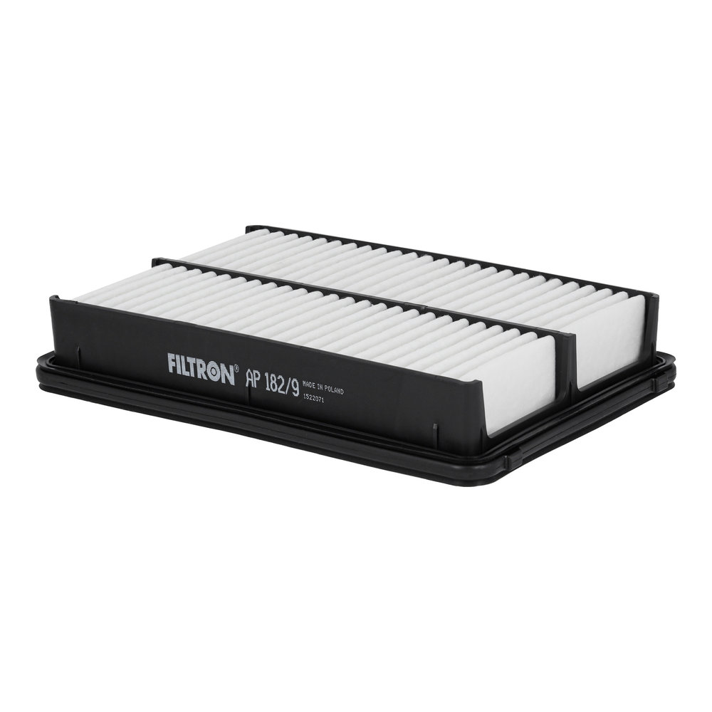 FILTRON AP182/9 Luftfilter Luftfiltereinsatz für Hyundai für Kia - Bild 6
