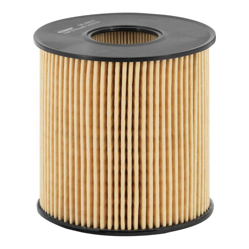 Für FILTRON OE 666/1 Oil Filter - Bild 6