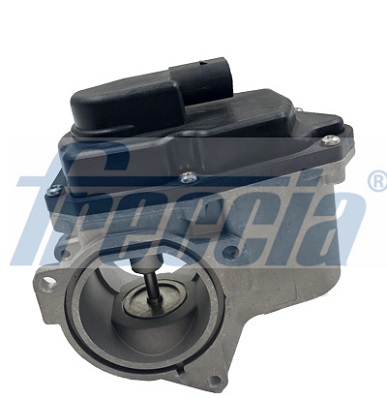 FRECCIA AGR-Ventil egr12123 für VW