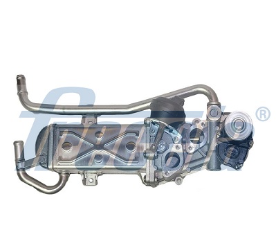 FRECCIA AGR-Ventil egr12127 für VW