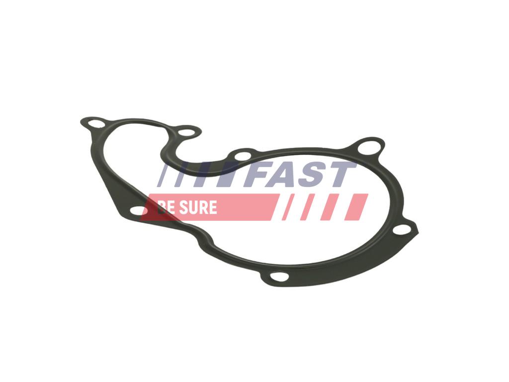 FAST Dichtung, Wasserpumpe ft57401 für Ford