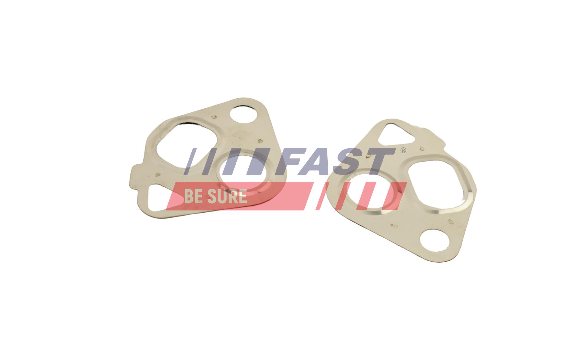FAST Dichtungssatz, AGR-System ft50607 für VW