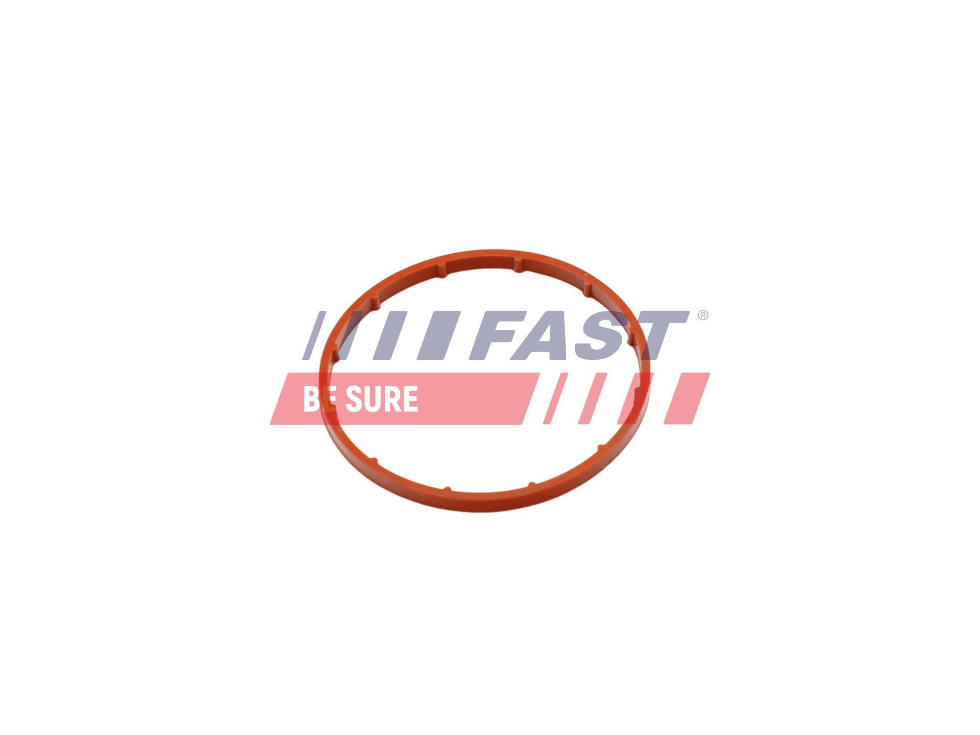 FAST Dichtung, Unterdruckpumpe ft50701 für Citroën Fiat