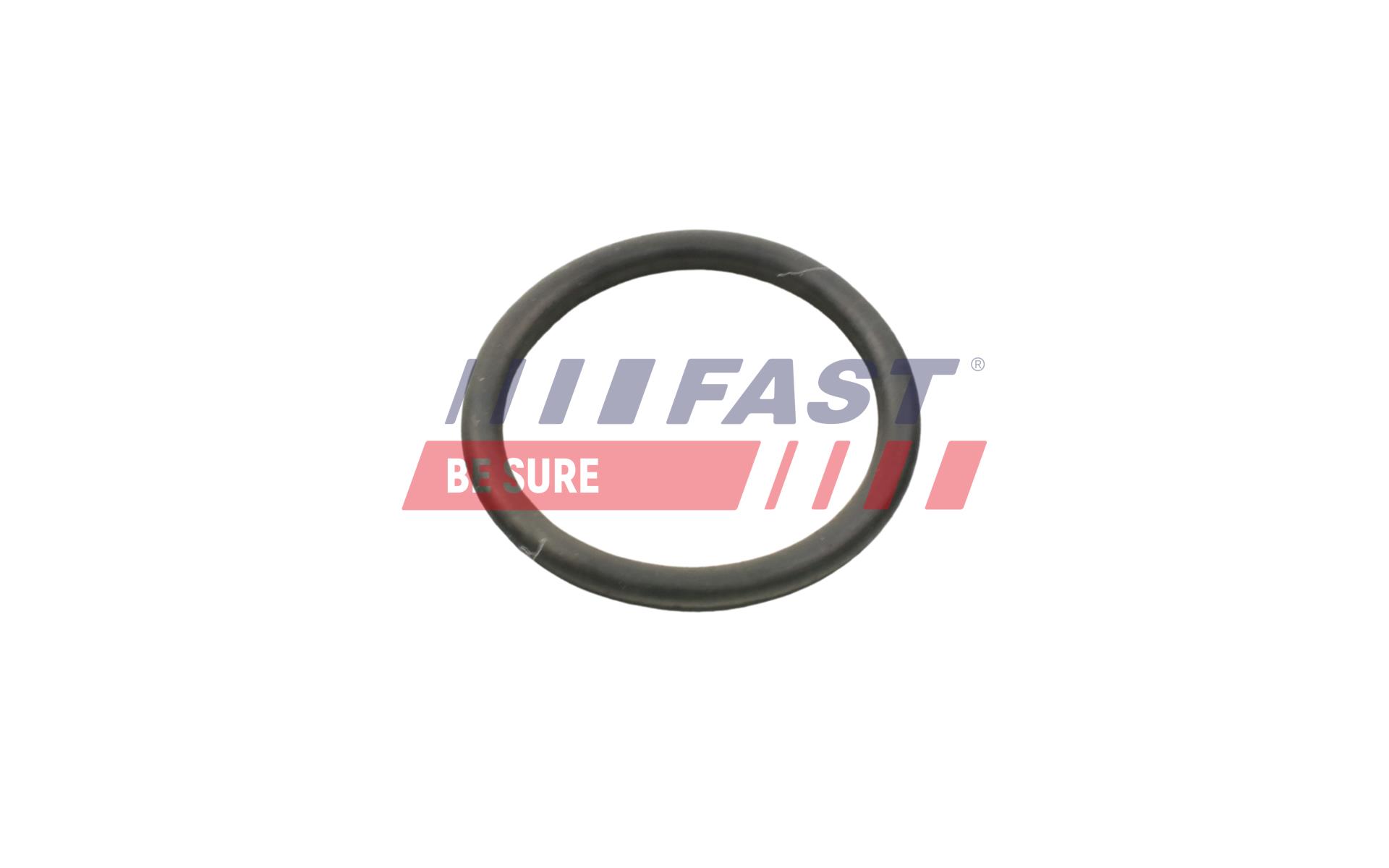 FAST ft49934 Wasserpumpe für Ford Fiat Citroën