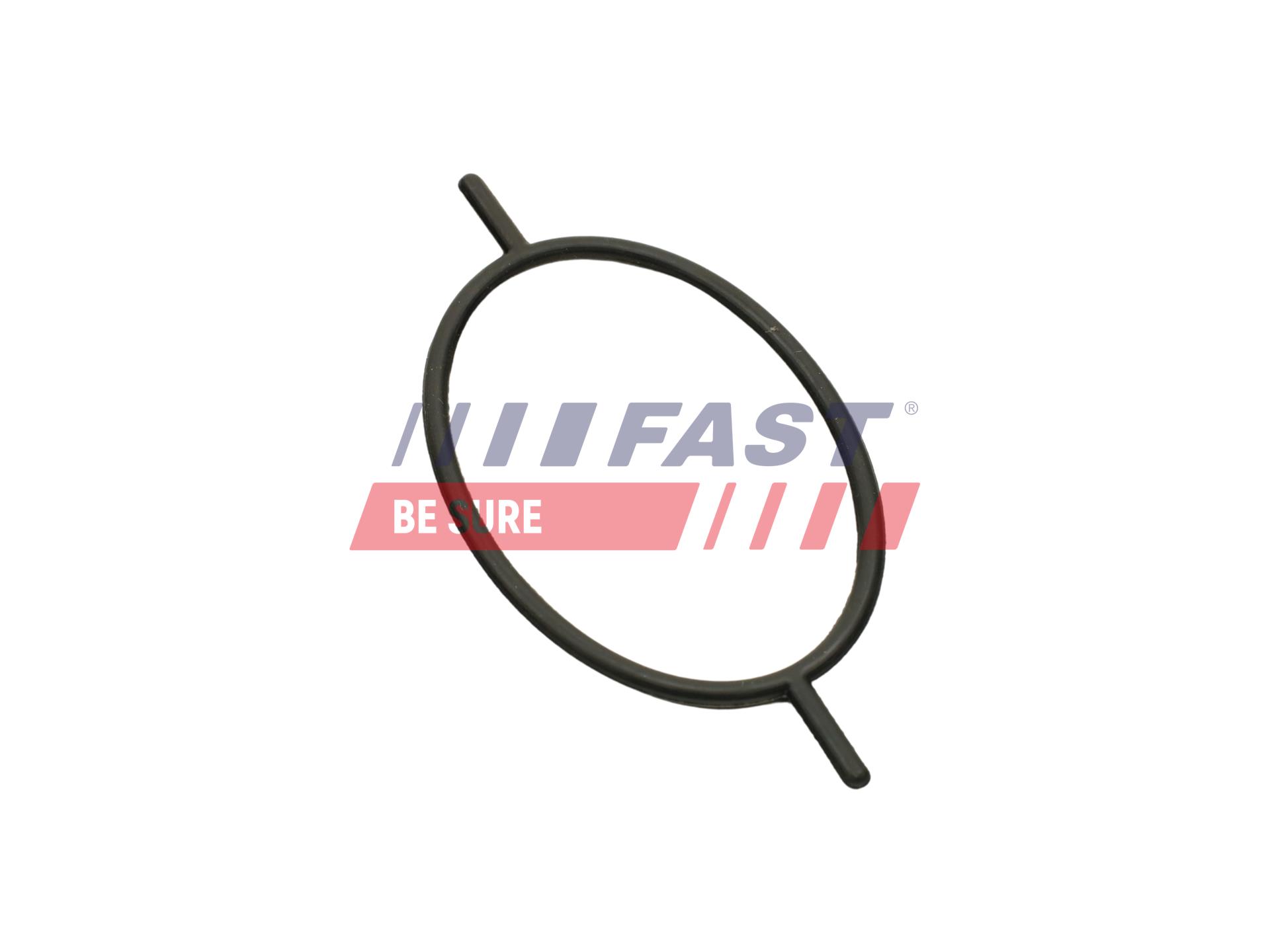 FAST Dichtring, Kühlerverschlussschraube ft49923 für Ford