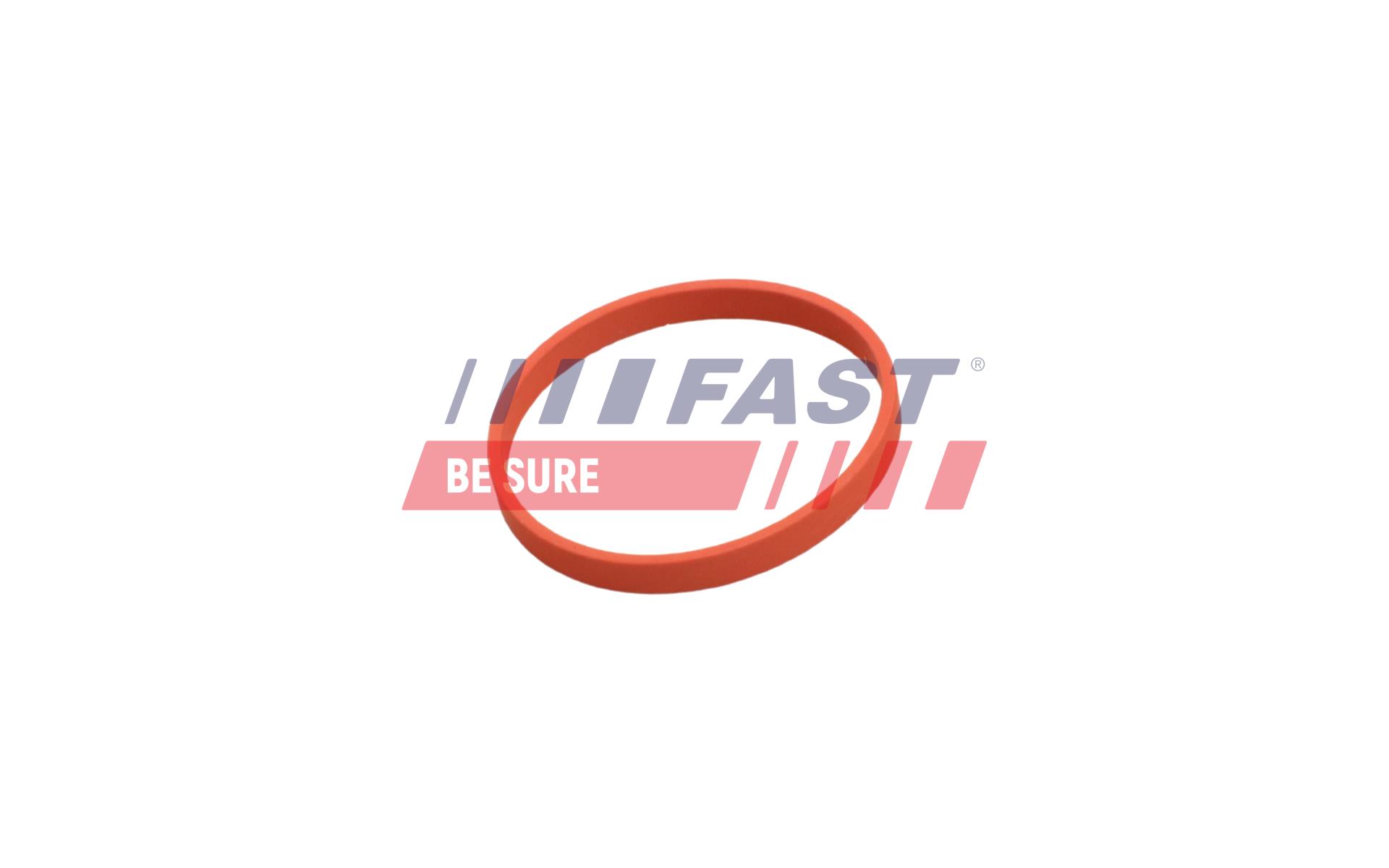 FAST Dichtung, AGR-Ventil ft50628 für RENAULT Mercedes