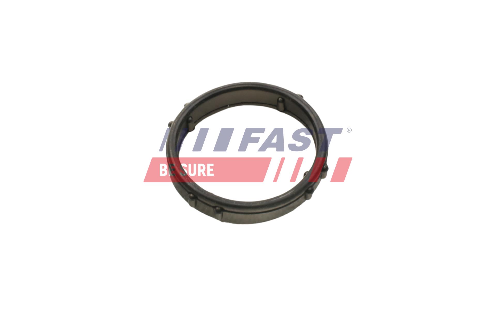 FAST ft57406 Wasserpumpe für Ford Fiat Citroën