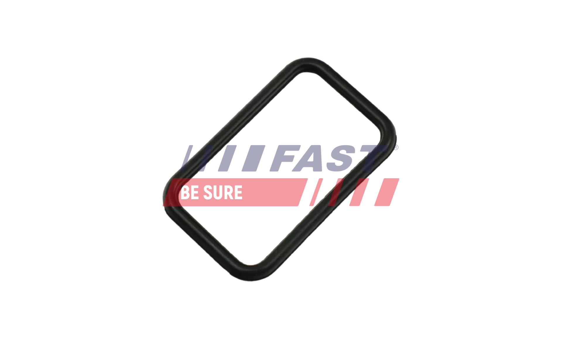 FAST Dichtung, Wasserpumpe ft57407 für NISSAN RENAULT