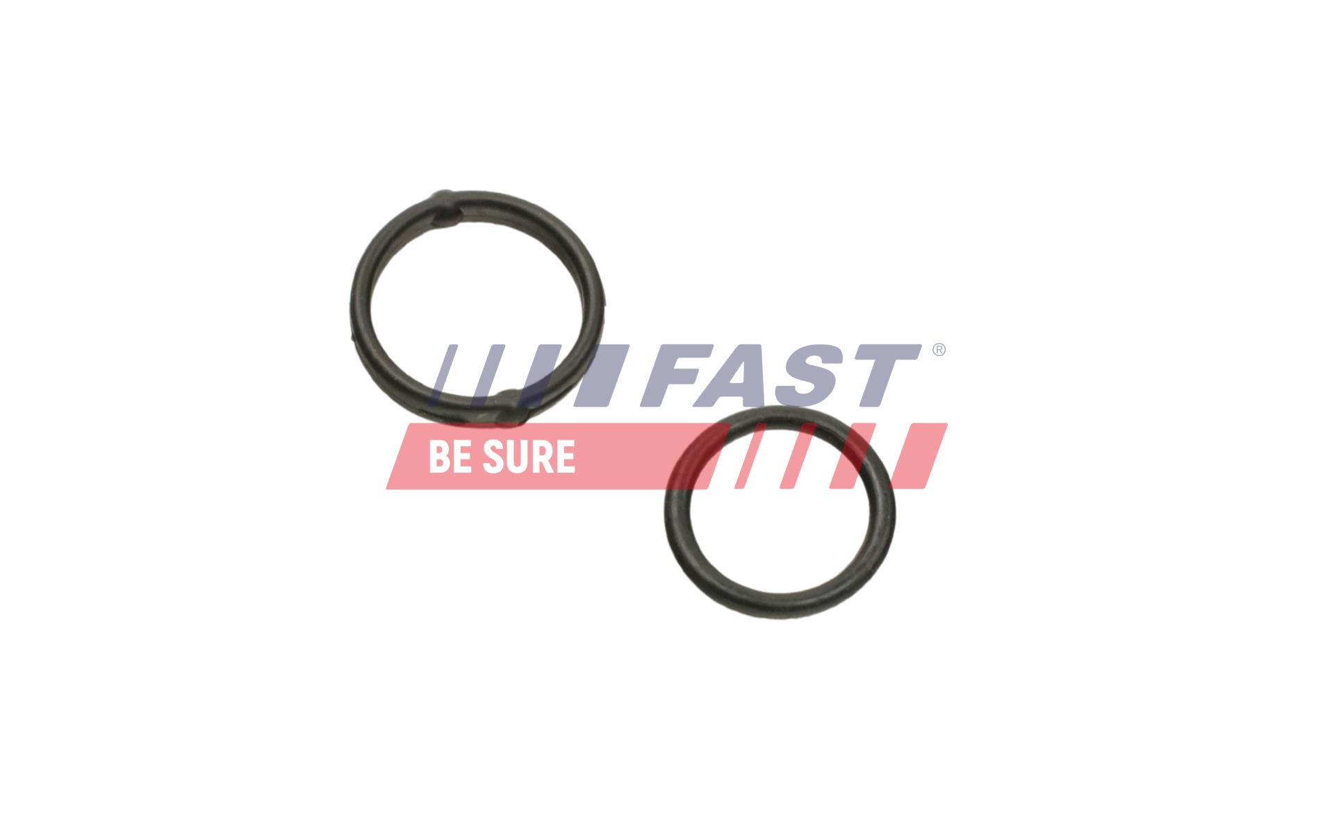 FAST Dichtung, Ölpumpe ft38804 für Opel Fiat