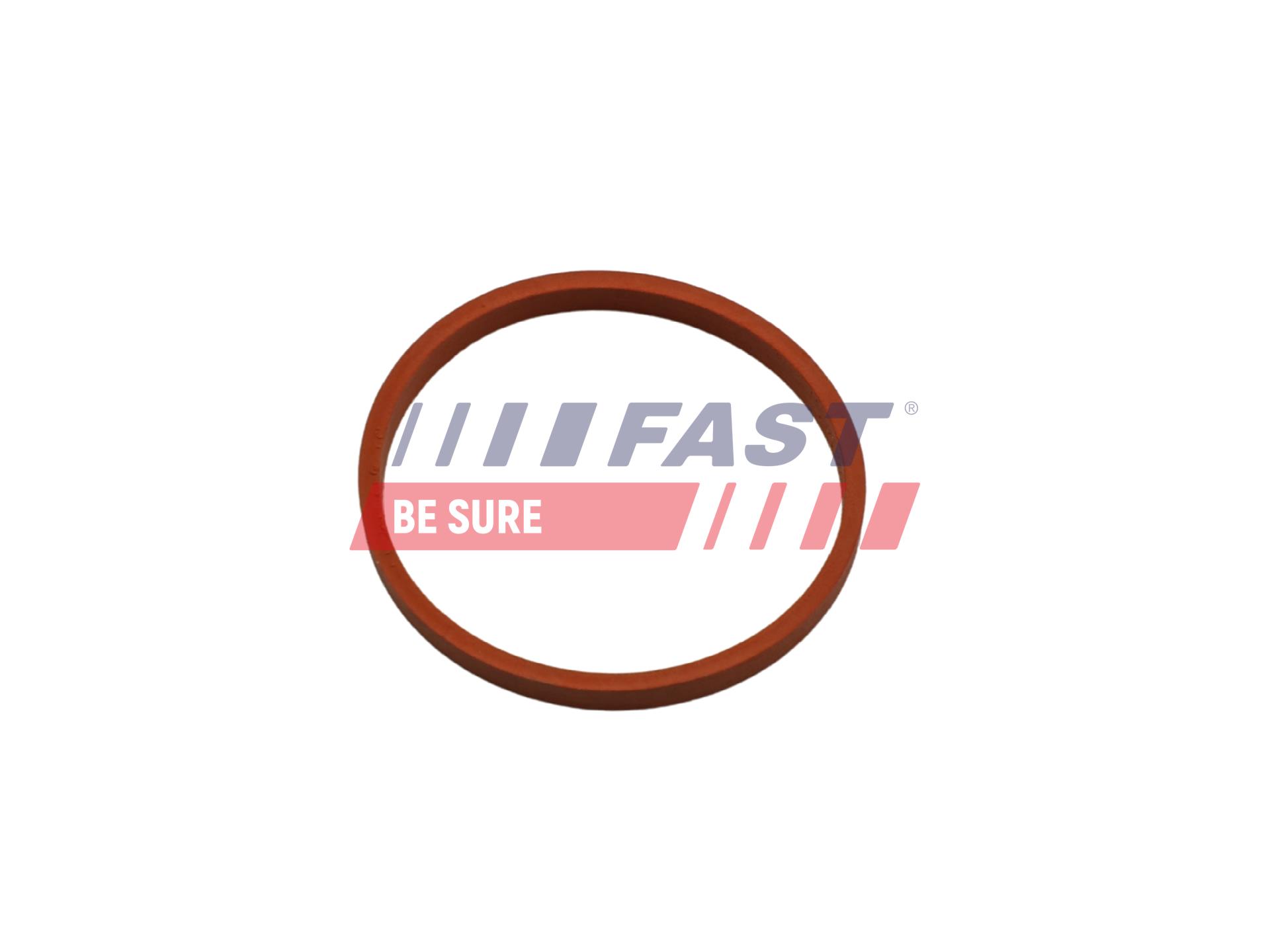 FAST Dichtring, Ladeluftschlauch ft48932 für RENAULT NISSAN