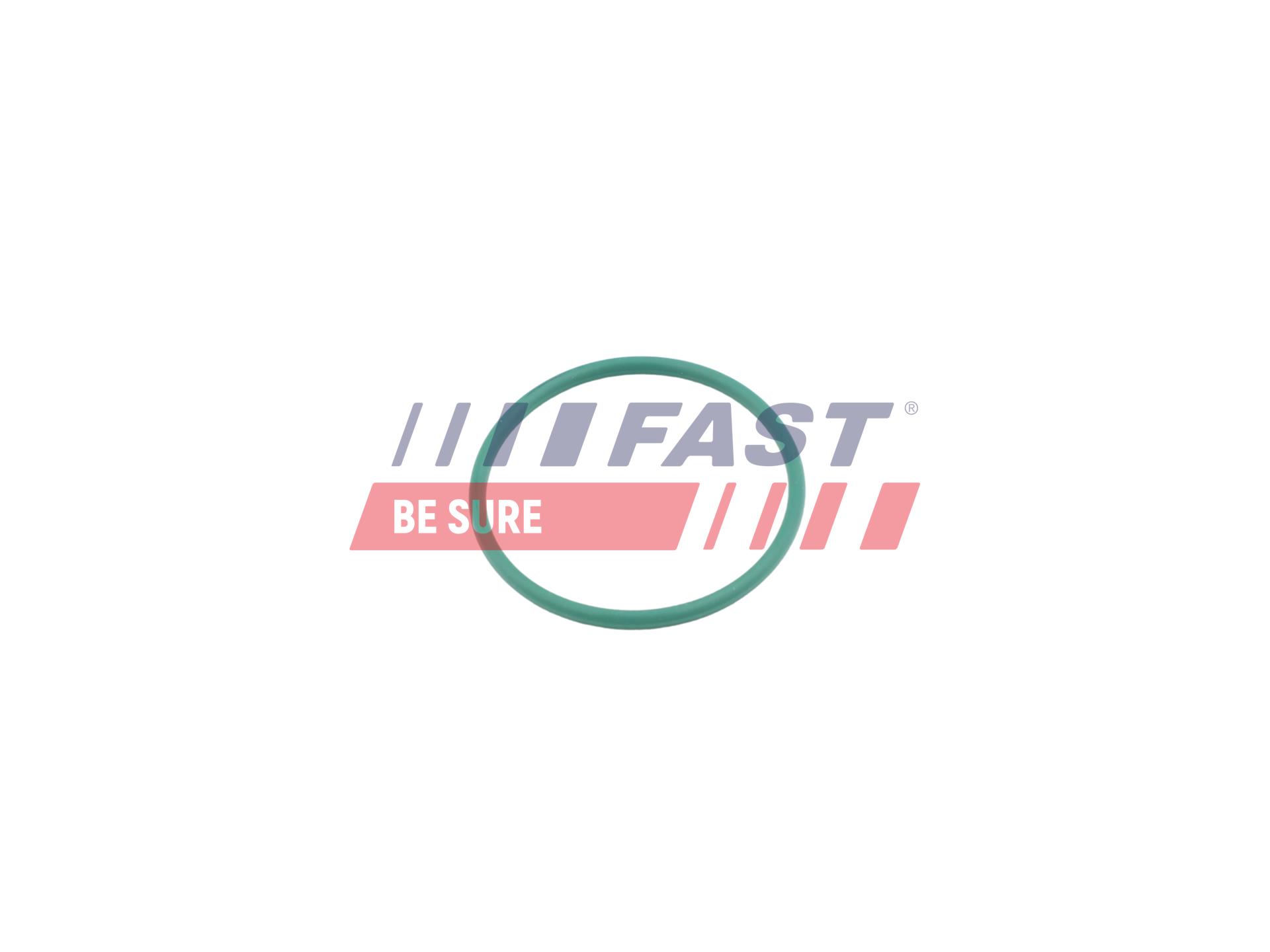 FAST Dichtring, Ladeluftschlauch ft49921 für Citroën Ford Fiat