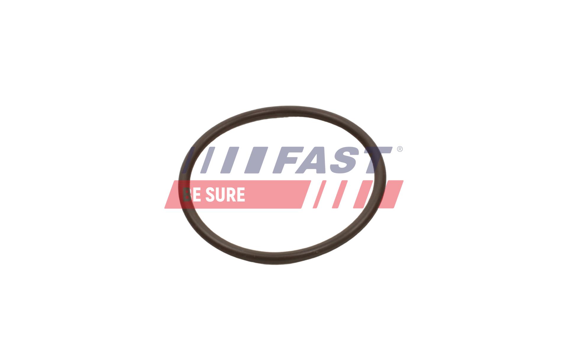 FAST Dichtring, Ladeluftschlauch ft49933 für Fiat
