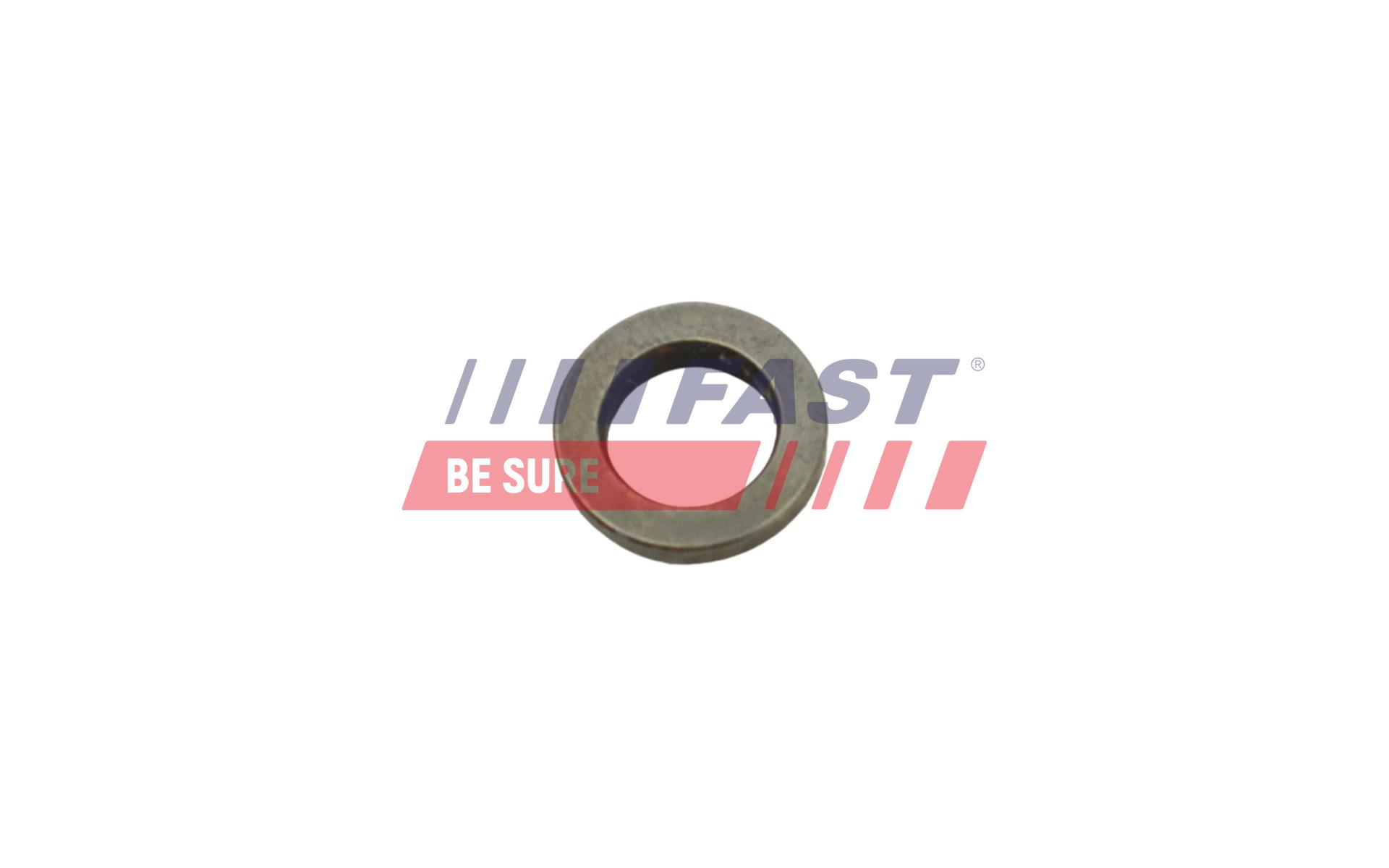 FAST Dichtung, Düsenhalter ft53851 für Iveco Citroën