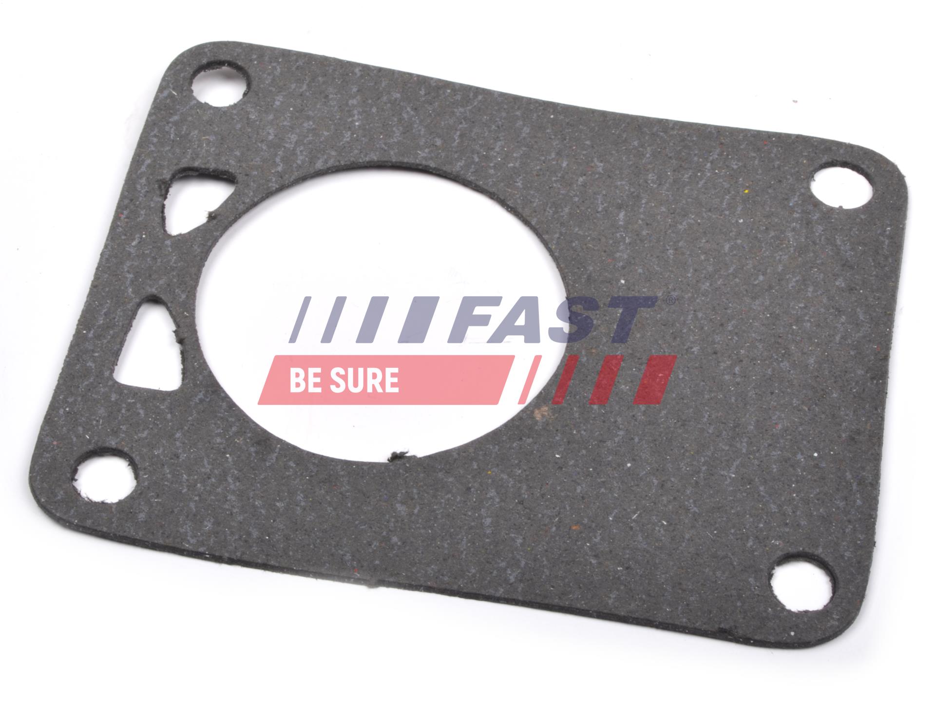FAST Dichtung, Unterdruckpumpe ft49901 für Citroën Iveco VW Fiat